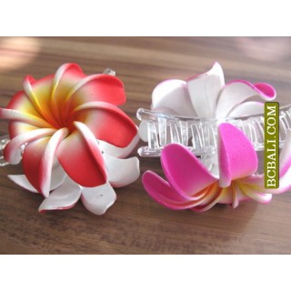 Balinese Tropical Flowers Hair Accessories Clips 